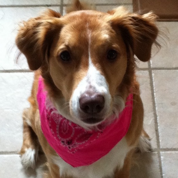 Meet your Posher, Elise - Picture 1 of 1